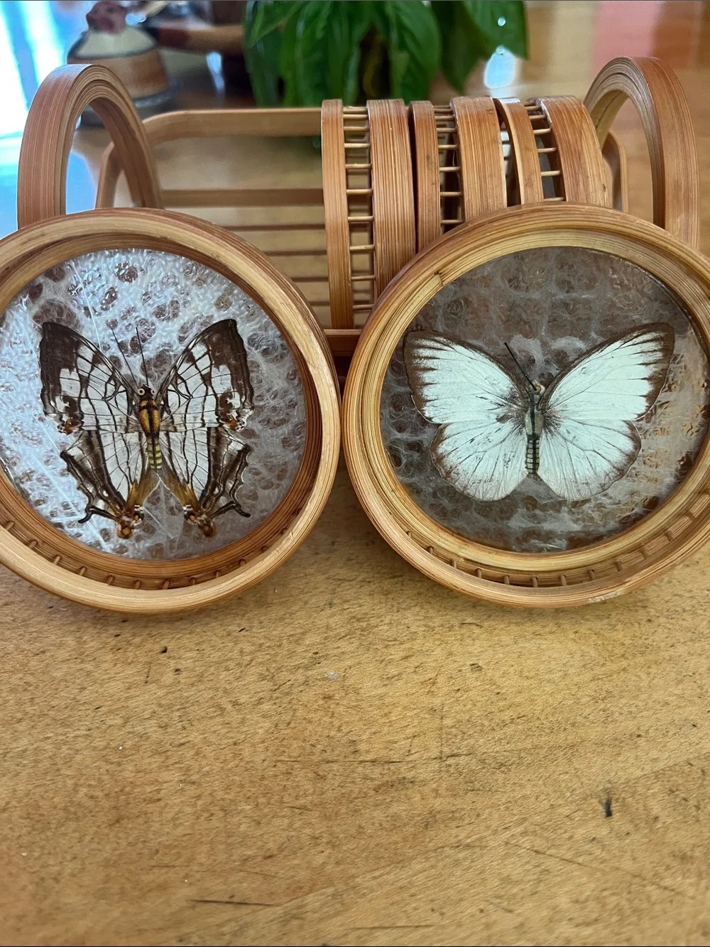 Vintage 1960s Retro Bamboo Butterfly Coaster Set six